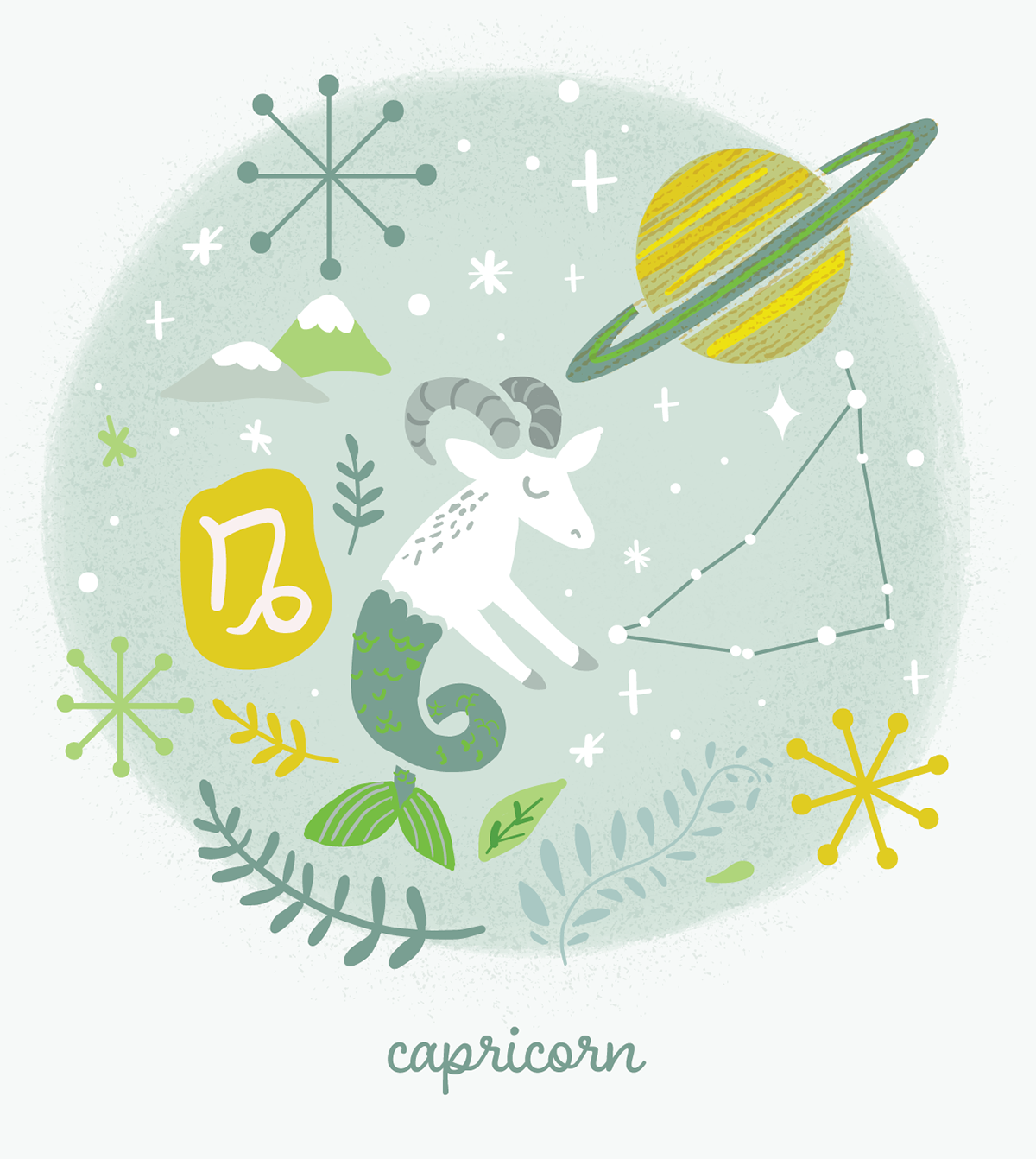 CAPRICORN ZODIAC SIGN